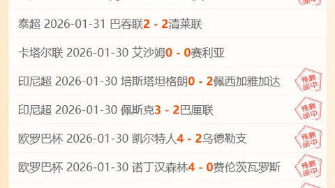 梅西——阿根廷世界杯制胜进球盘点