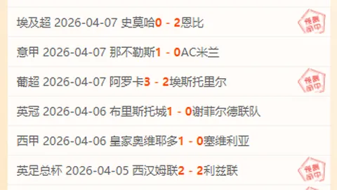 喀麦隆2025世界杯速览